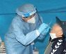고양서 가족 간 접촉 코로나19 감염 등 31명 확진