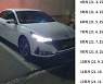 "아반떼 12개월 165만원씩 납부"..패기 있는 사회초년생의 인증