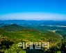고창 '문수산 편백숲', 이달의 추천 국유림 명품숲에 선정