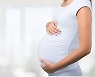 "임산부는 코로나 백신 2차 접종 받아야 면역반응 높아져"