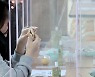 대체 급식 먹는 학생들