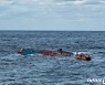 군산 어청도 앞바다 중국어선 전복..4명 사망·2명 실종(종합2보)
