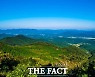 산림청, 10월 국유림 명품숲에 '고창 문수산 편백숲' 선정