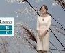 [날씨] 강원 내일 10도 이상 큰 일교차..짙은 안개 유의