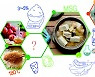 맛있는 삼겹살·된장찌개..알고보면 '화학 레시피'