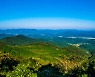 10월의 국유림 명품숲, 고창 '문수산 편백숲'