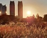 정원이 아름다운 곳 '울산 태화강국가정원'