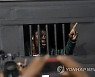 Nigeria Protest Anniversary