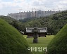 왕릉 앞 아파트, 나무 심어서 가려라?..문화재청 "검토할 것"
