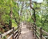 괴산군, 16억여원 들여 성불산에 무장애나눔길 2km 추가