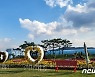 제천 '휴 자연치유정원'에 서리 견디고 핀 국화꽃 만발