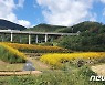 부산 기장군 광산마을 휴경 농지, 경관농업단지로 재탄생