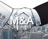 Korean M&A scene ripe with equity sale instead of buyouts