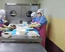 포항시, 과메기·오징어 건조 외국인 계절근로자 모집