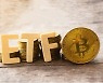 美 SEC, 반에크 이어 발키리까지 비트코인 ETF 잇단 승인