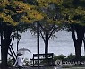 경상·강원 일부 지역 비 소식..전국 큰 일교차