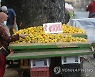 INDONESIA ECONOMY