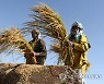 PAKISTAN AGRICULTURE