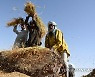PAKISTAN AGRICULTURE
