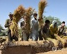 PAKISTAN AGRICULTURE
