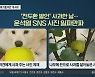 불난 집에 기름 부은 尹 '개 사과 사진' 논란