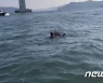 마창대교 인근 해상서 4톤 화물선 침몰..80대 선장 구조