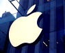 애플카 중국 CATL·BYD와 협상 좌초