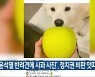 '윤석열 반려견에 사과 사진', 정치권 비판 잇따라