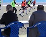 '매의 눈으로'