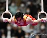 JAPAN ARTISTIC GYMNASTICS WORLD CHAMPIONSHIPS