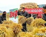 북한 수확 총력전 "하루하루 알곡고지 점령"
