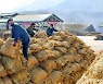 '알곡고지 점령' 마지막 돌격전 나선 북한 농촌