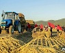 올해 농사 투쟁으로 들끓는 북한 농촌