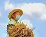 북한 '농사 결속에 헌신 분투'