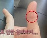 세븐틴 승관 "과거 친구 개물림 사고 목격 후 개에 대한 두려움 생겨'
