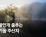 [권혁재 핸드폰사진관] 물안개 춤추는 가을 주산지