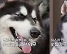 '개훌륭' 이경규 "이런 적은 처음"..역대급 고민견 등장