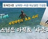 [영상]사천해변의 초보 서퍼, 스님은 아직도 '사춘기'