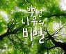 김포시 한적한 마을 군하리.. 400살 보호수 등 관광골목 변신 '눈길'