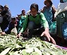 BOLIVIA AGRICULTURE COCA