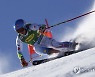 APTOPIX Austria Alpine Skiing World Cup