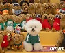 스타필드, 반려동물과 함께하는 '펫 할로윈 페스티벌'