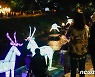 2021 노원달빛산책