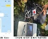 보이스피싱엔 '알뜰통신사+외국인 명의+선불유심'폰이 쓰인다