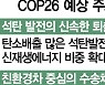 탈탄소 '멈칫'에도..韓만 사다리 걷어찬다