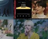 세븐틴, 'Attacca' 컴백쇼 성료..전 세계 캐럿과 보낸 특별한 시간