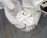 EGYPT MEDICINES COMPANY INFORMATION