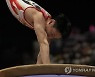 Japan Gymnastics