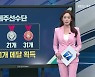[스포츠 PICK] 제41회 전국장애인체육대회 제주 선수단 선전