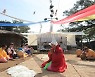 제주큰굿은 국가무형문화재, 정선 봉양리 뽕나무는 천연기념물 된다